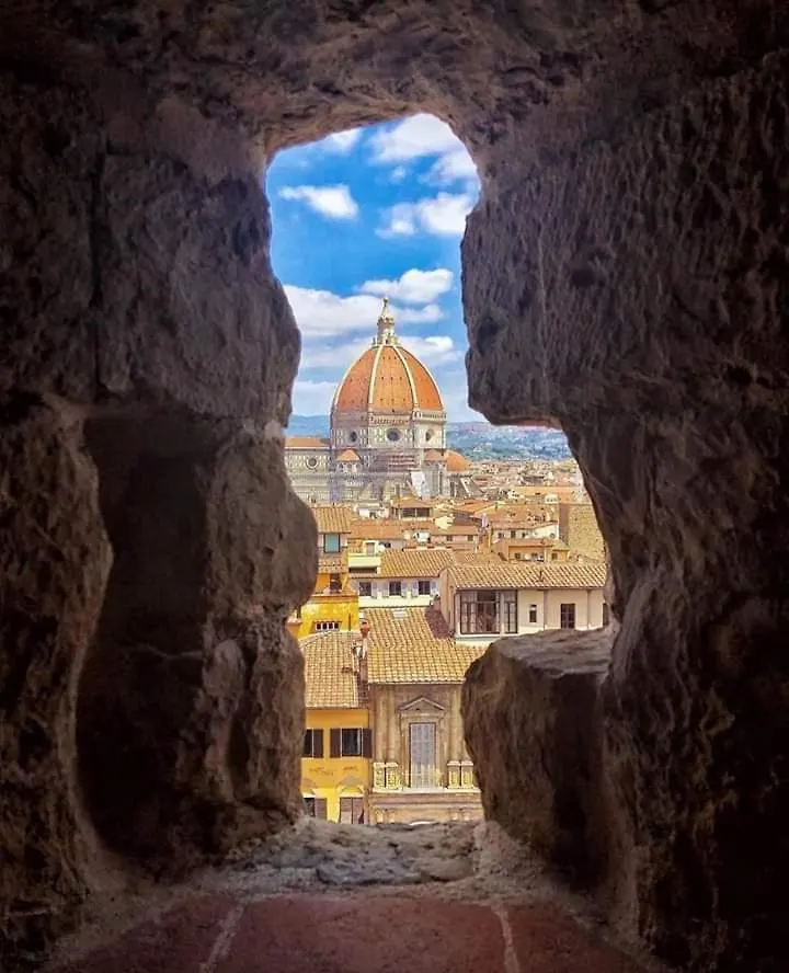 Violet 27 Apartment Florence Italy