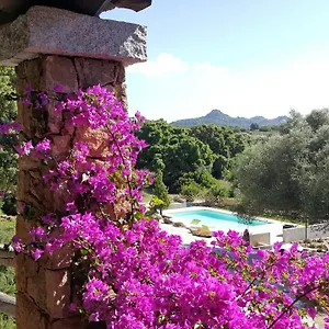 https://agriturismo-desole-monti.in-sardinia.net